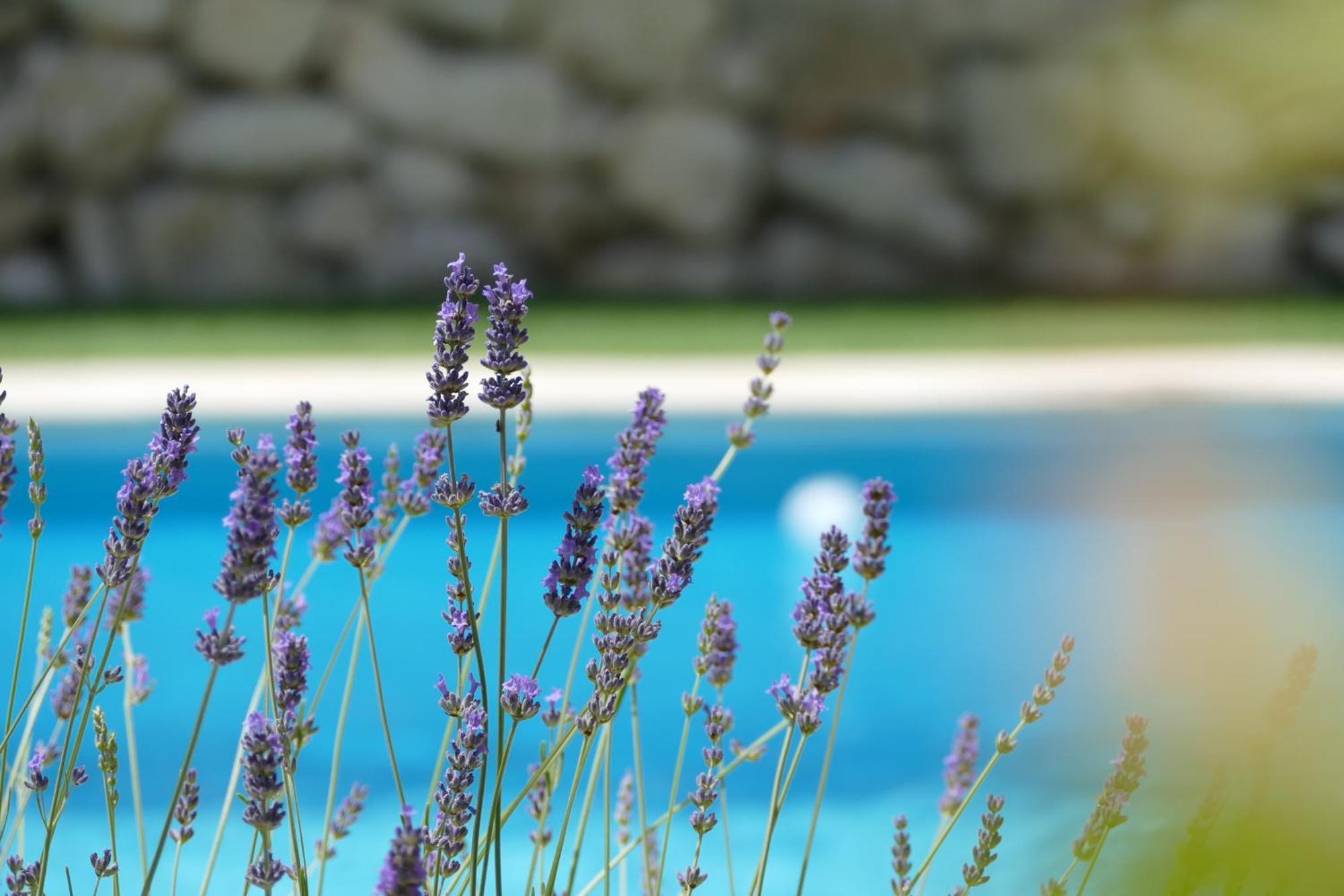 Kalpic Suites & Villa Lozovac Exterior foto